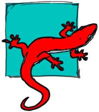 Gekko System™