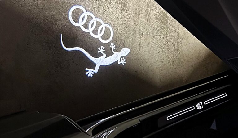 독일 Audi는 게코를 사랑합니다.