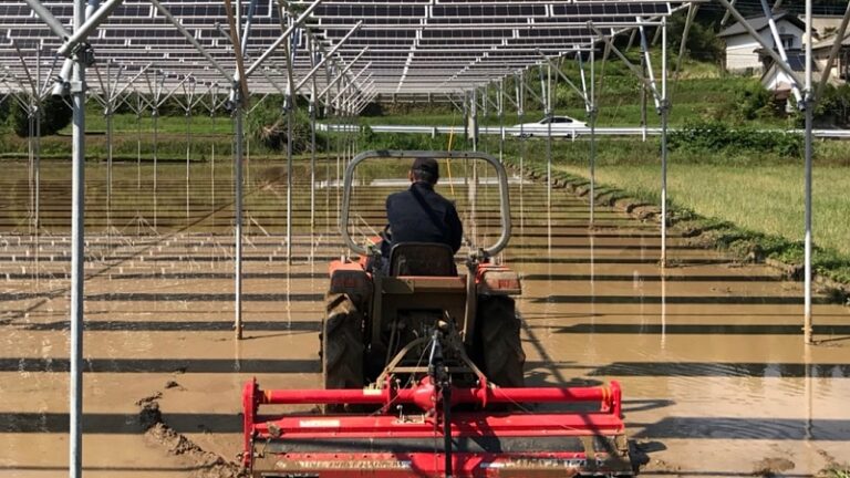 농지로 가는 일본의 태양광 발전