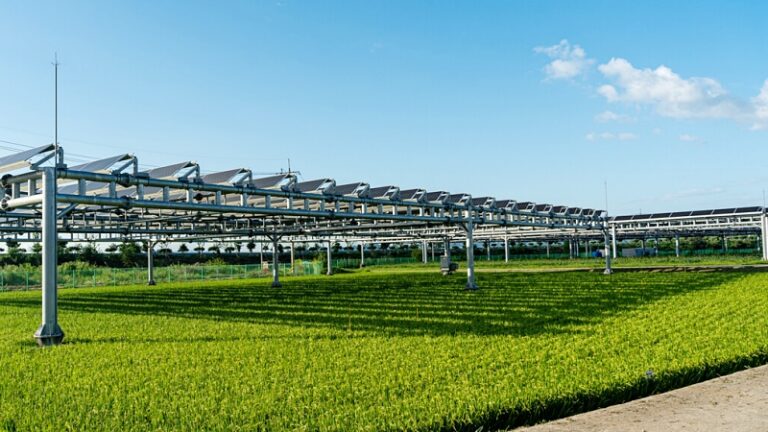 영농형 태양광, 2026년의 조망