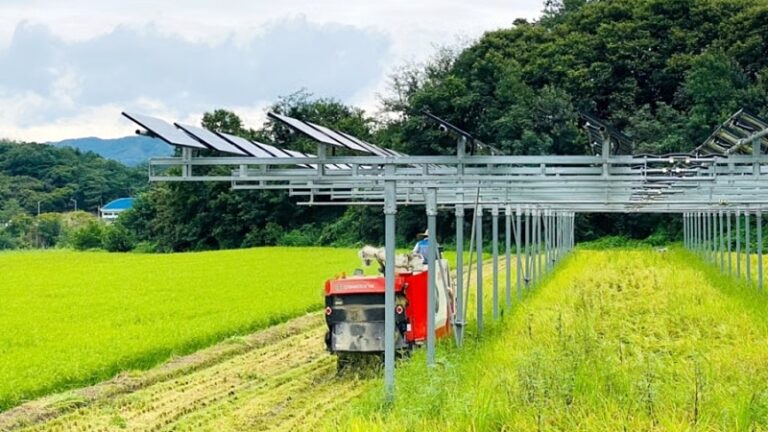 영농형 태양광과 법률 충돌